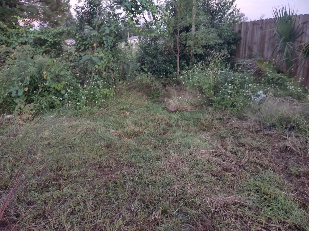 Reliable landscape design near you across Panama City, FL - JKRedd Lawntrepenures