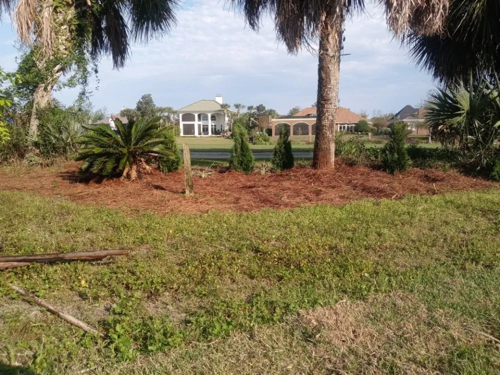 Top-rated yard cleanup service for outdoor upgrades across Panama City, FL - JKRedd Lawntrepenures
