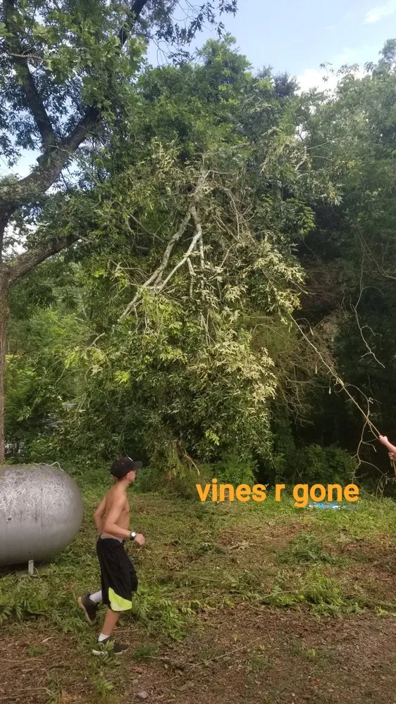 Custom yard maintenance with custom design across Dalton, GA - JK's Elite Upkeep