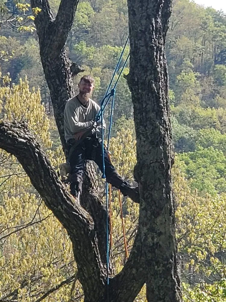 Affordable landscape installation in Dalton, GA by JK's Elite Upkeep