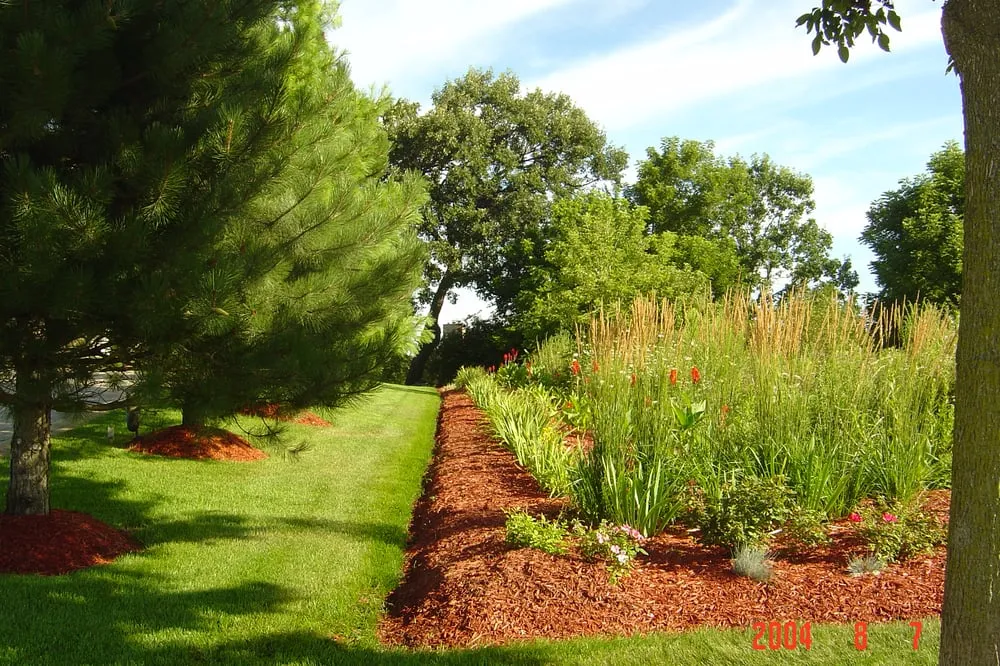 Trusted yard cleanup service experts serving Melrose Park, IL - JKS Ventures