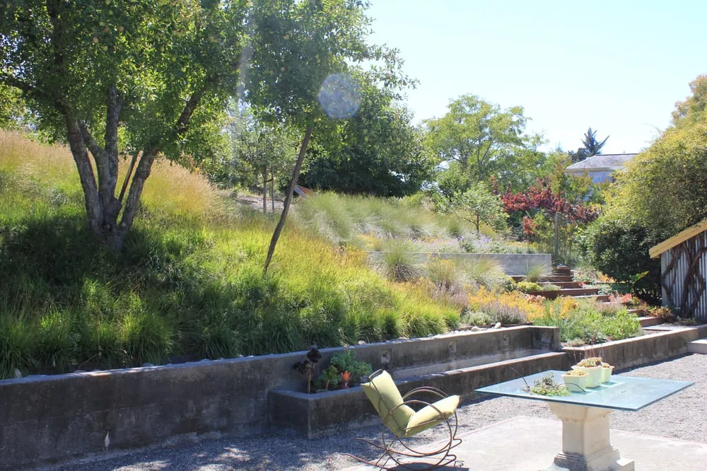 Local outdoor landscaping for beautiful yards across Sonoma, CA - JKT Associates