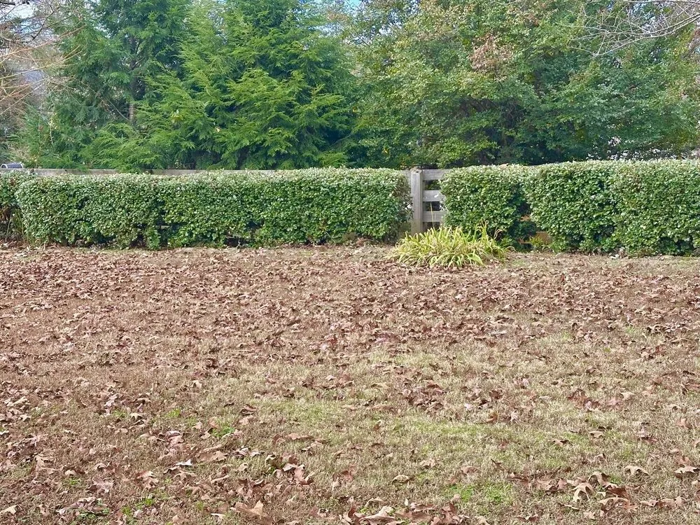 Professional residential landscaping in Gainesville, GA - J&L Bros Lawn Care