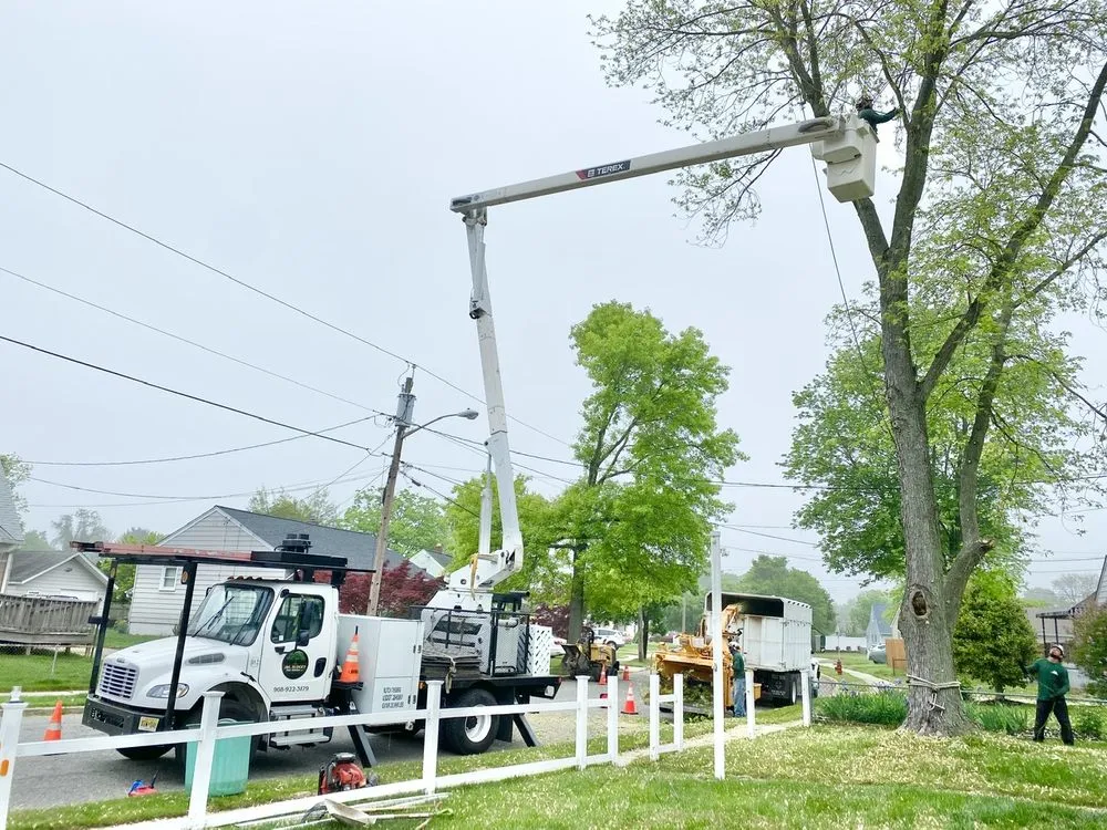 Trusted residential landscaping for year-round maintenance across Plainfield, NJ - J&L Budget Tree Service