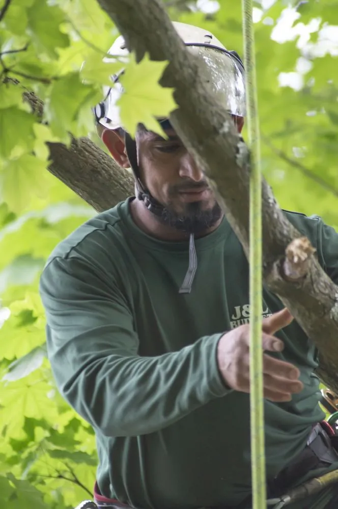 Professional outdoor landscaping in Plainfield, NJ - J&L Budget Tree Service