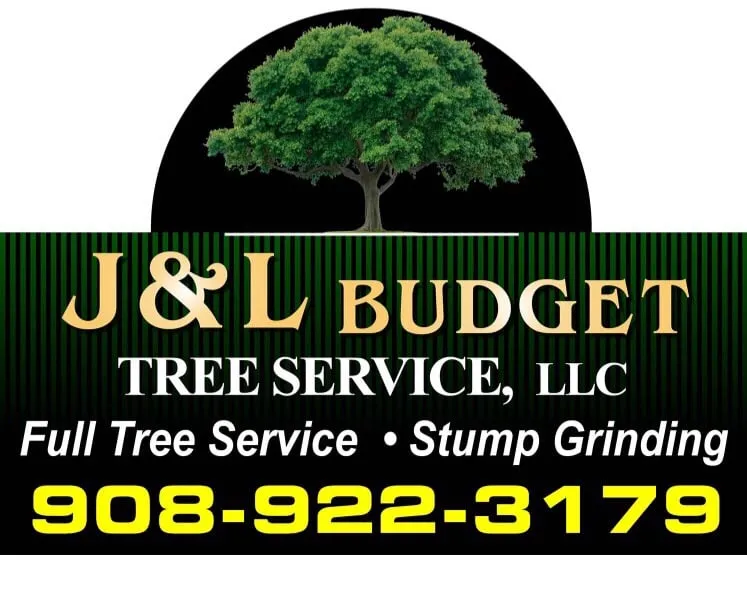 Top-rated yard maintenance in Plainfield, NJ - J&L Budget Tree Service