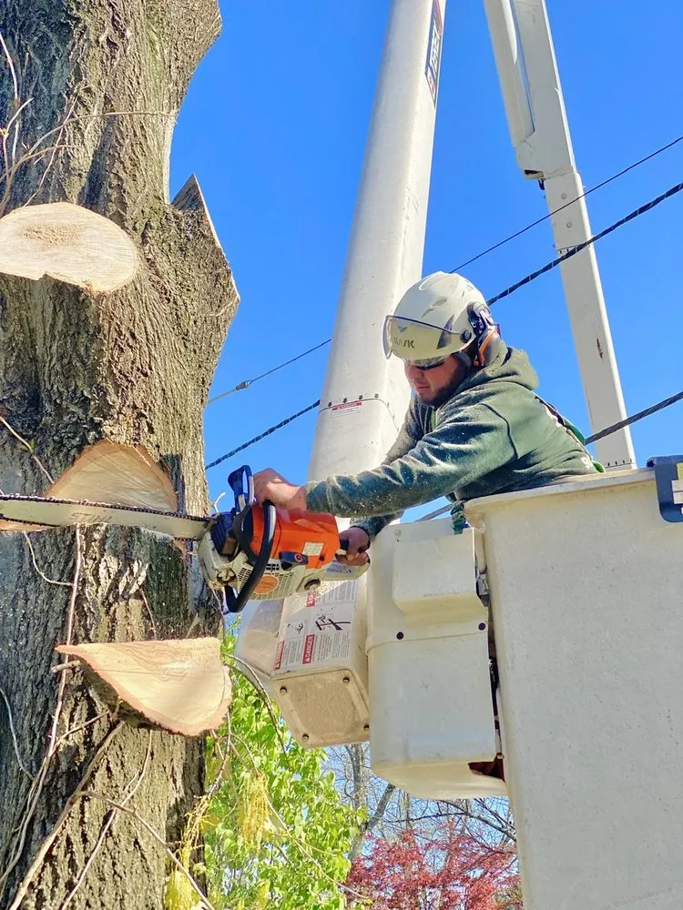 Custom landscape installation experts serving Plainfield, NJ - J&L Budget Tree Service