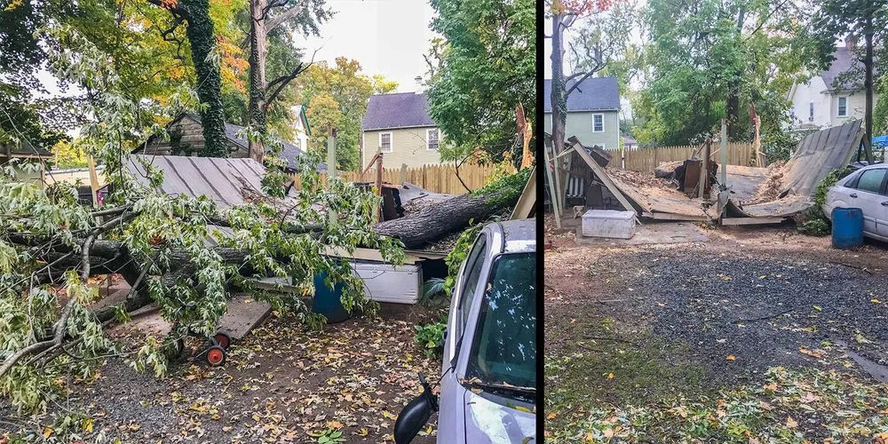 Professional lawn mowing service in Plainfield, NJ - J&L Budget Tree Service