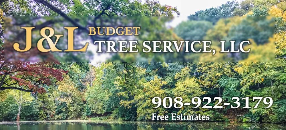 Professional landscaping services in Plainfield, NJ - J&L Budget Tree Service