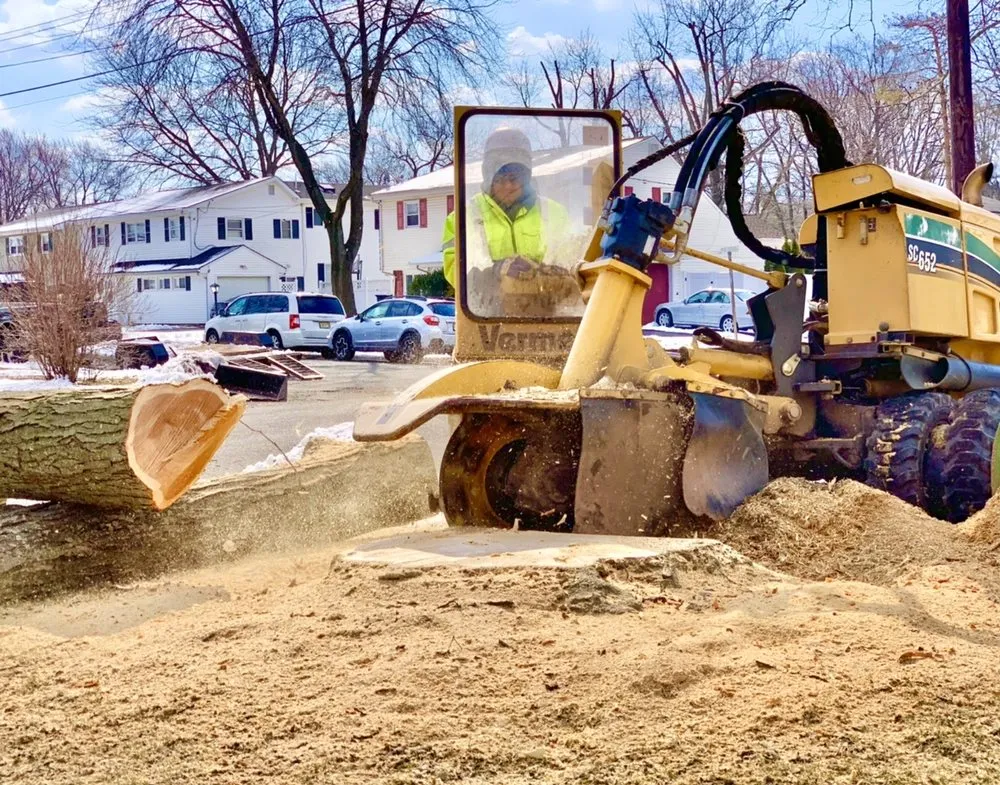 Professional residential landscaping in Plainfield, NJ by J&L Budget Tree Service