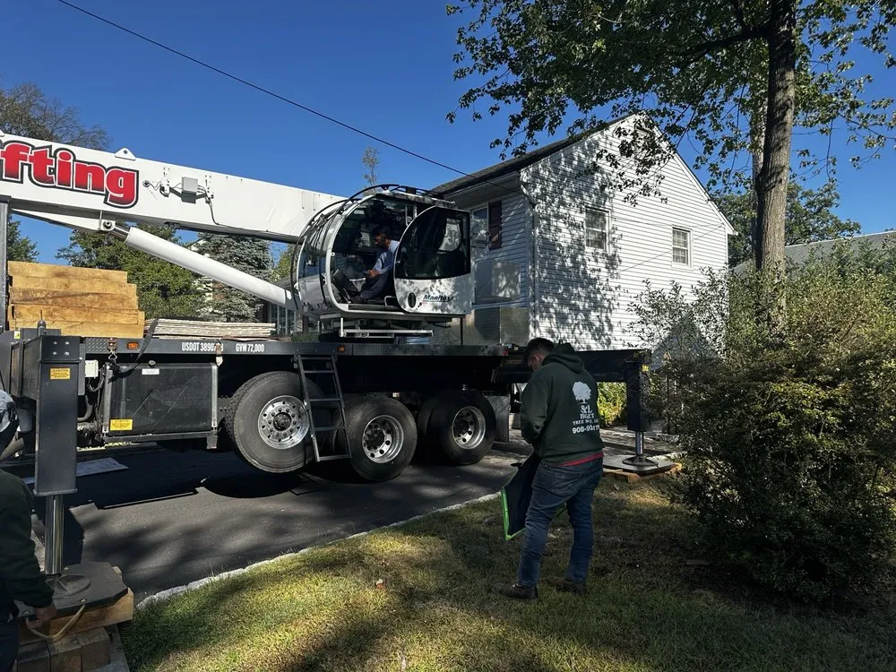 Top-rated yard cleanup service in Plainfield, NJ - J&L Budget Tree Service