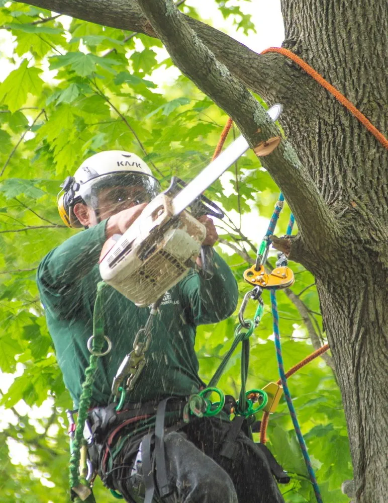 Custom landscape installation in Plainfield, NJ by J&L Budget Tree Service