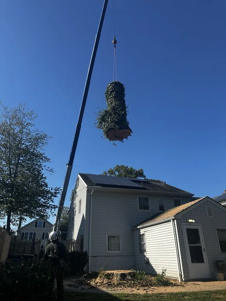 Affordable lawn mowing service near you in Plainfield, NJ by J&L Budget Tree Service