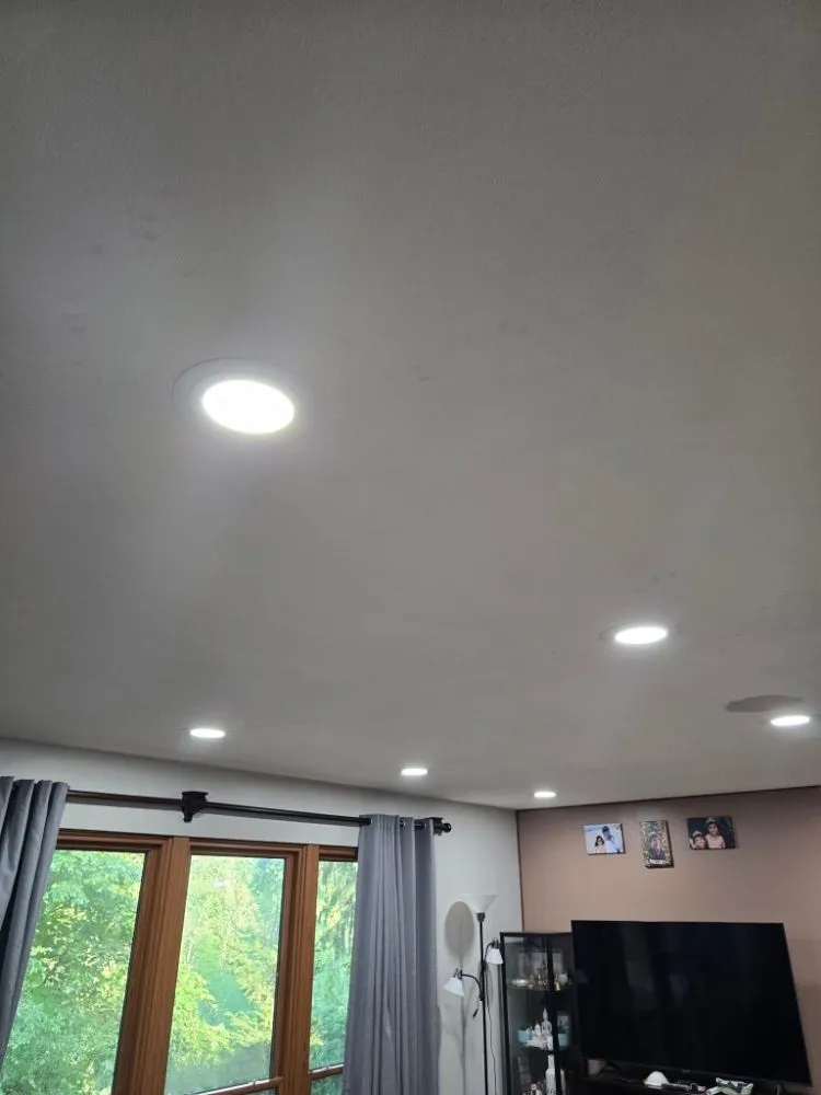 Trusted yard cleanup service experts serving Niles, MI - J&l Enterprise Corp