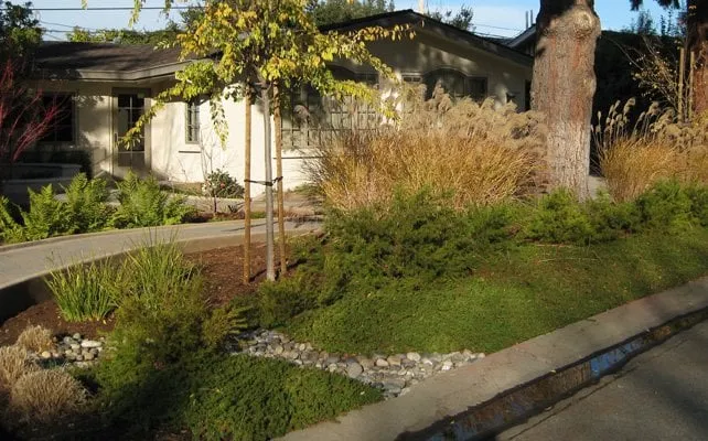 Reliable outdoor landscaping in Mountain View, CA - JL Gardening