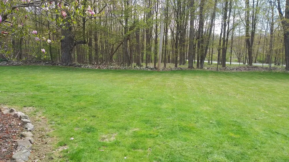 Affordable yard maintenance for year-round maintenance in Forest, VA by JL Handy Pro