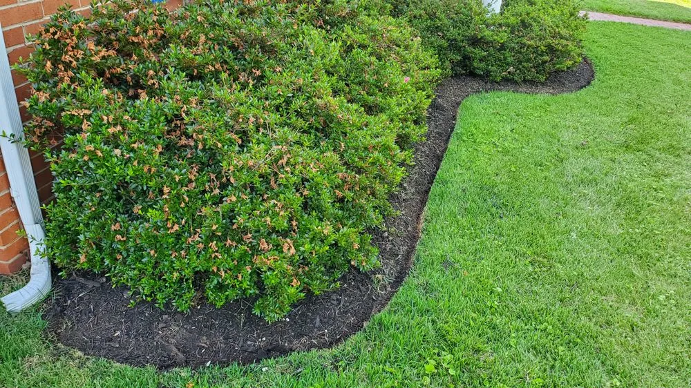 Reliable outdoor landscaping near you across Forest, VA - JL Handy Pro