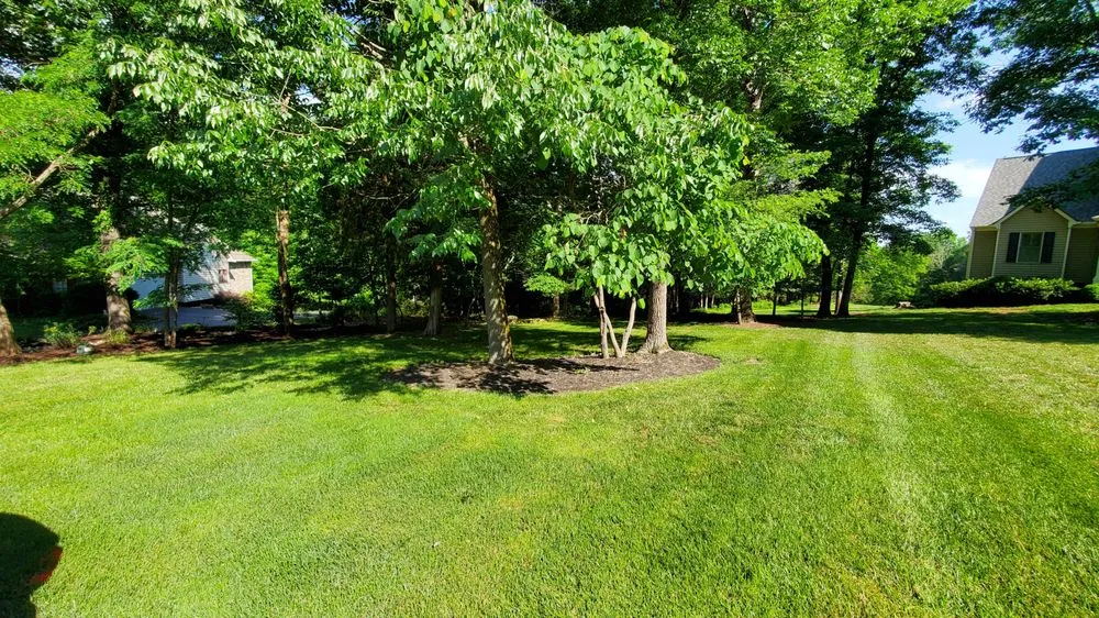 Local lawn care service in Forest, VA by JL Handy Pro