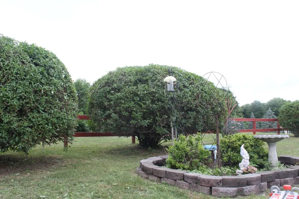 Reliable outdoor landscaping in Forest, VA by JL Handy Pro