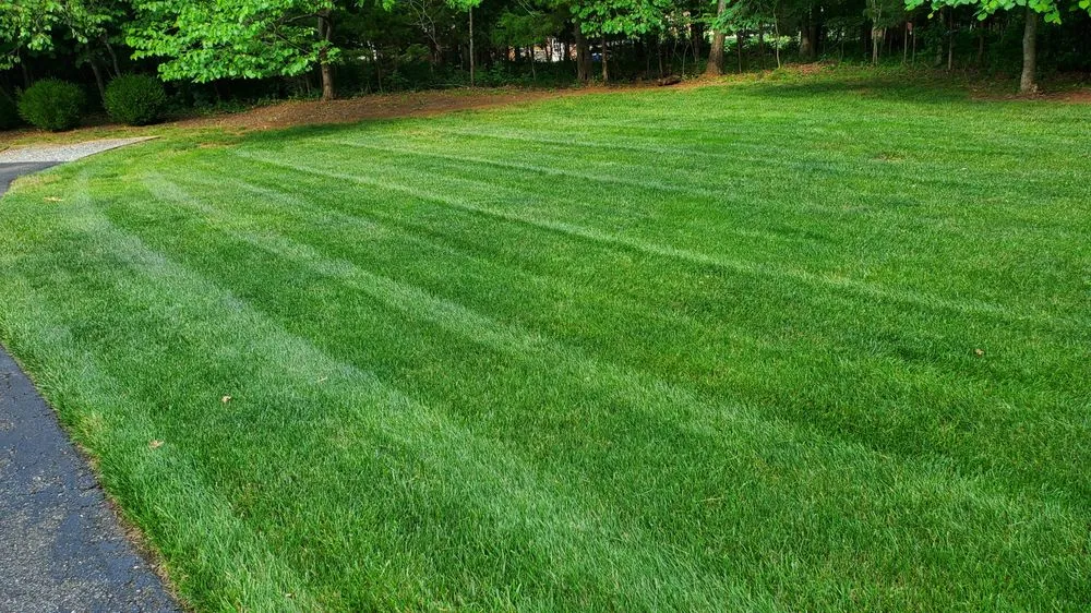 Professional landscape installation in Forest, VA - JL Handy Pro