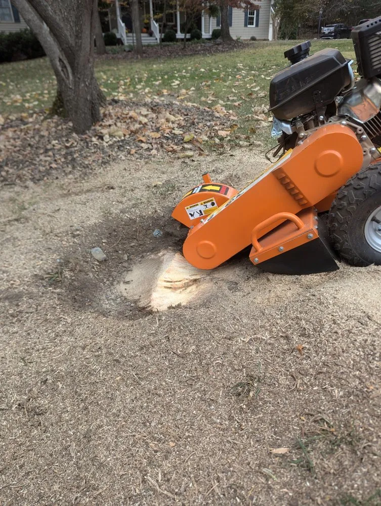 Reliable landscaping services near you in Forest, VA by JL Handy Pro