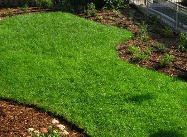 Top-rated yard cleanup service for homes in New Rochelle, NY by JL Hernandez Landscaping