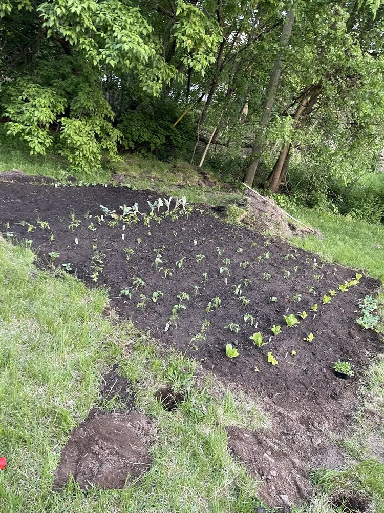 Expert yard maintenance experts serving Kingston, NY - JL Improvement