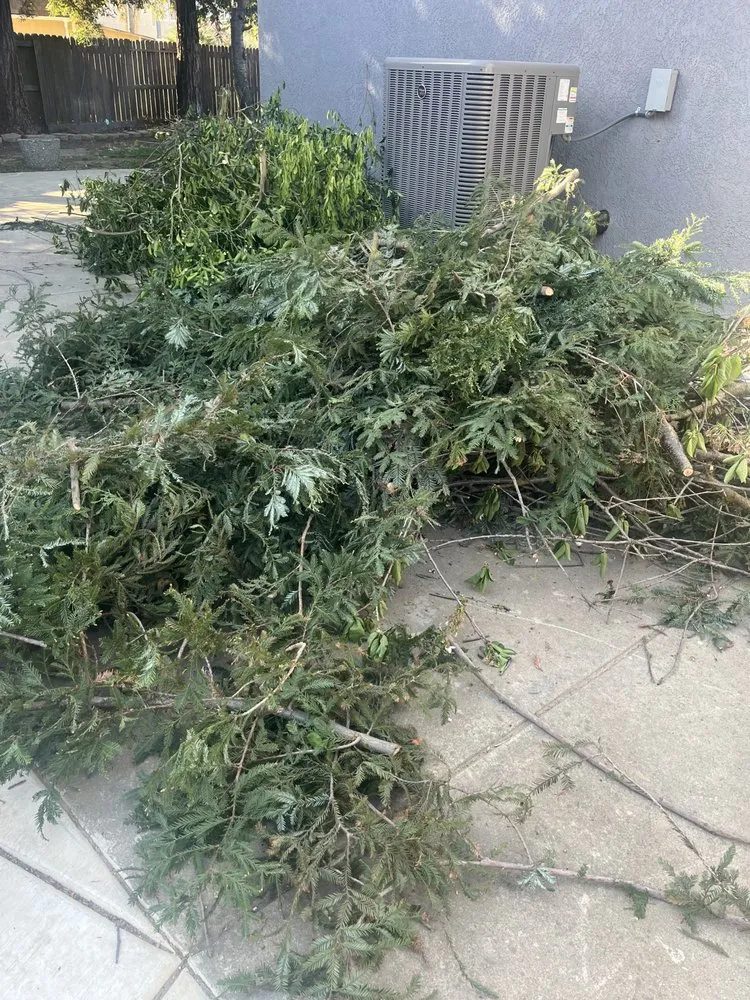 Local lawn care service in Sacramento, CA by JL Junk Removal