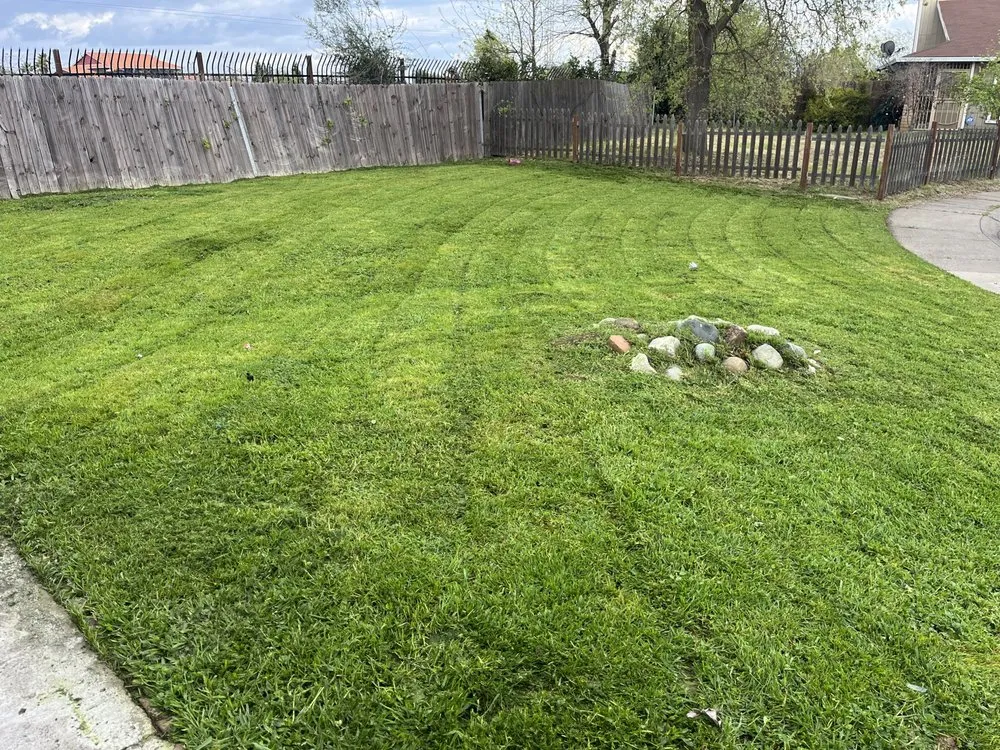 Top-rated landscape installation in Sacramento, CA - JL Junk Removal