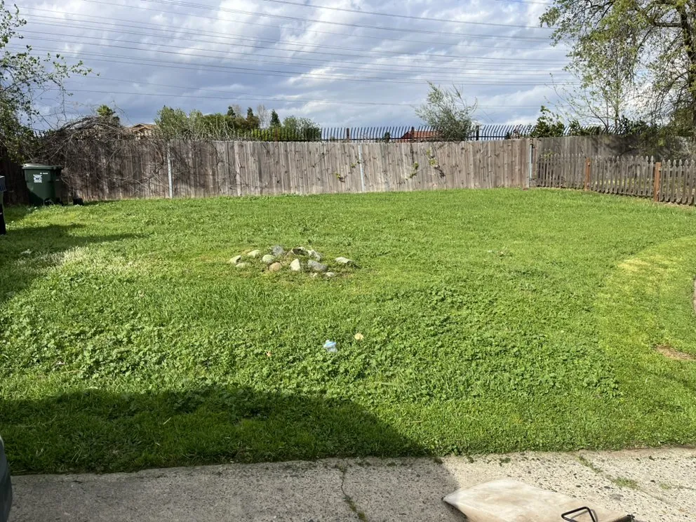 Affordable yard maintenance for outdoor upgrades in Sacramento, CA by JL Junk Removal