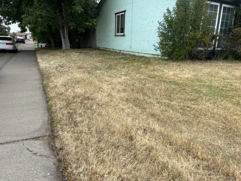 Affordable landscape design in Sacramento, CA - JL Junk Removal