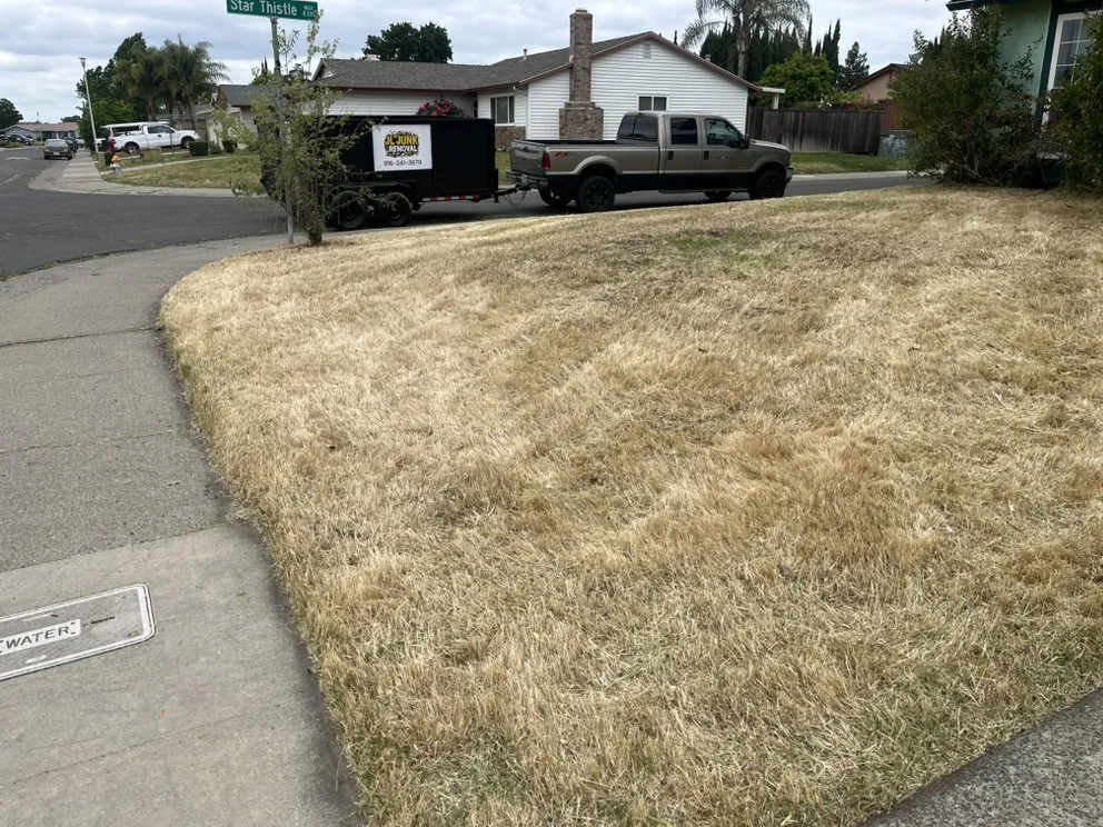 Professional landscaping services in Sacramento, CA - JL Junk Removal