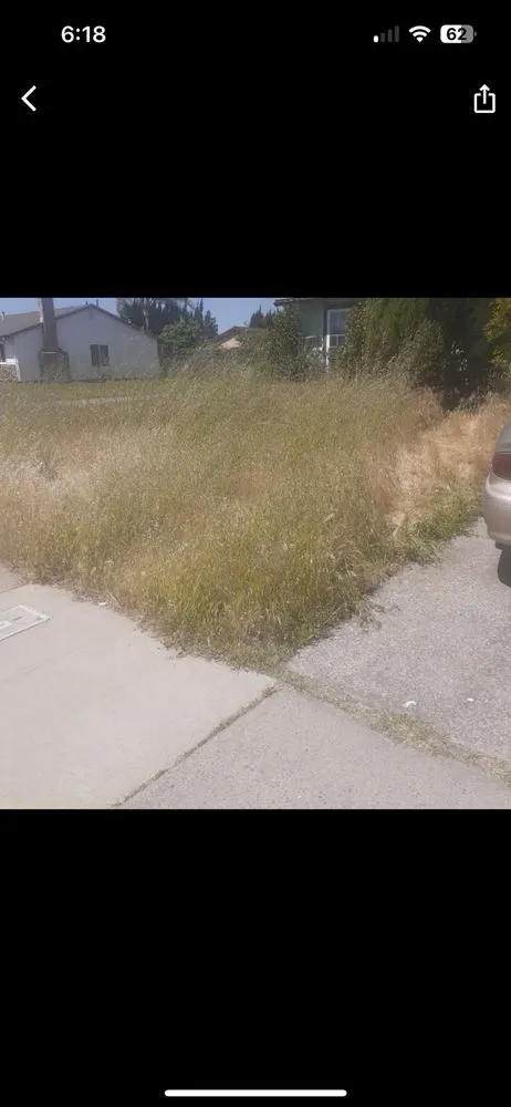 Expert yard cleanup service experts serving Sacramento, CA - JL Junk Removal