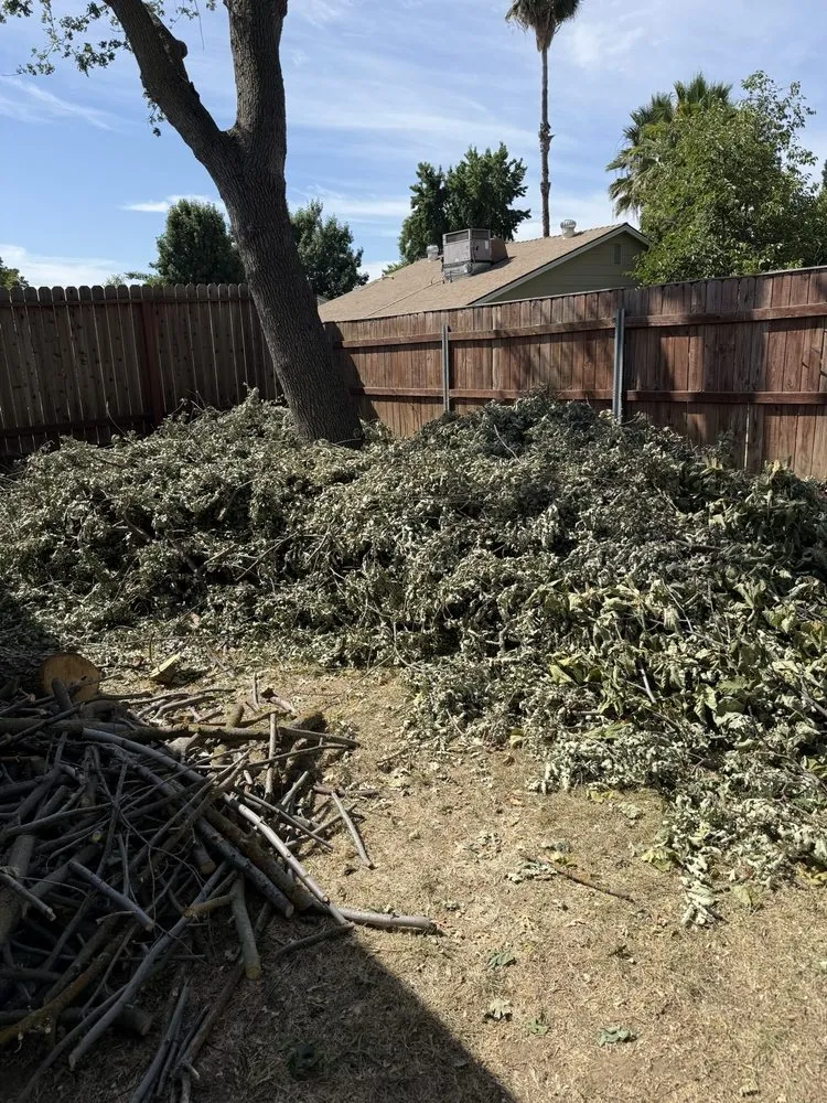 Custom yard cleanup service experts serving Sacramento, CA - JL Junk Removal