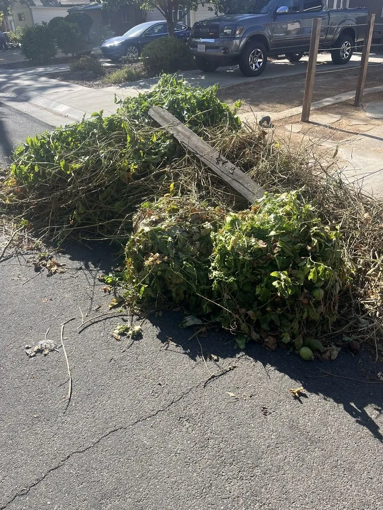 Reliable garden landscaping experts serving Sacramento, CA - JL Junk Removal