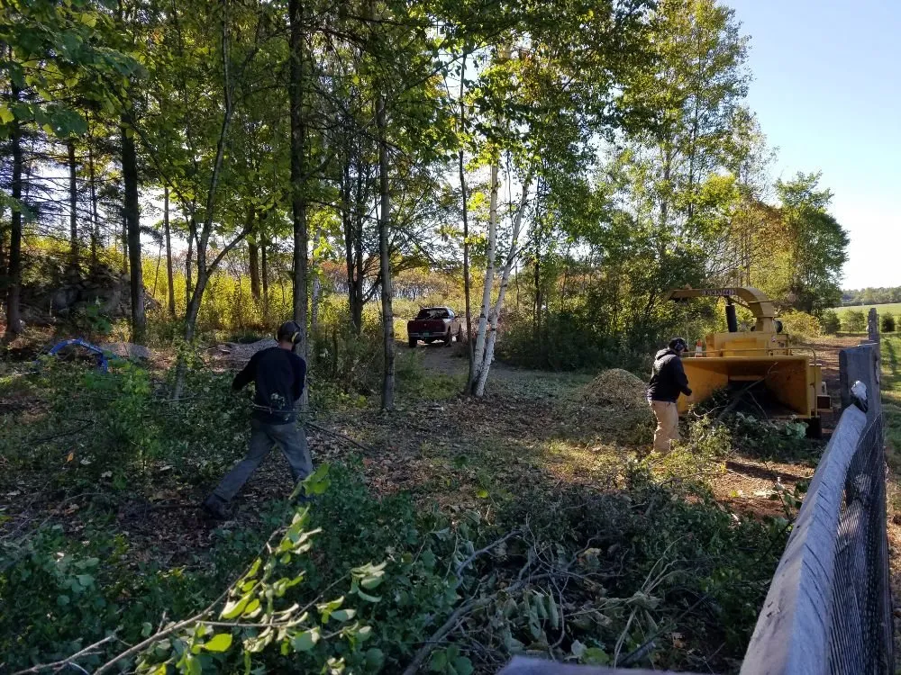 Expert yard cleanup service in Bristol, VT by J&L Landcare