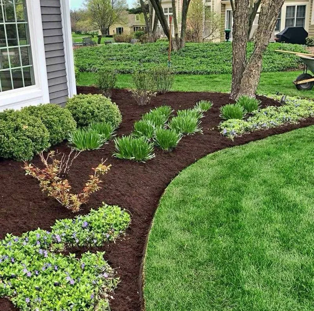 Custom yard cleanup service experts serving Wheaton, MD - J&l Lands Service