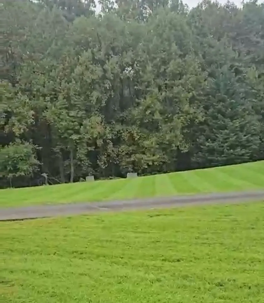 Custom lawn mowing service experts serving Wheaton, MD - J&l Lands Service