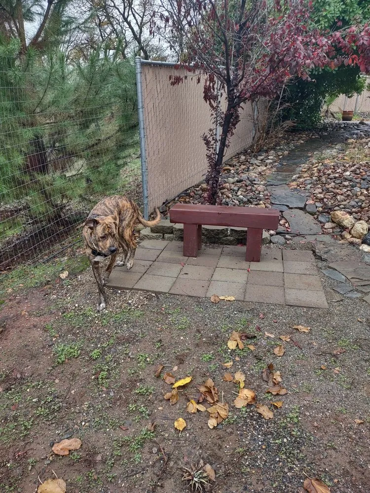 Affordable landscape installation with custom design across Chico, CA - JL Landscape