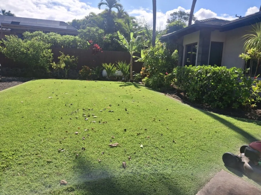 Affordable landscape installation with custom design across Maui, HI - J&L Landscaper