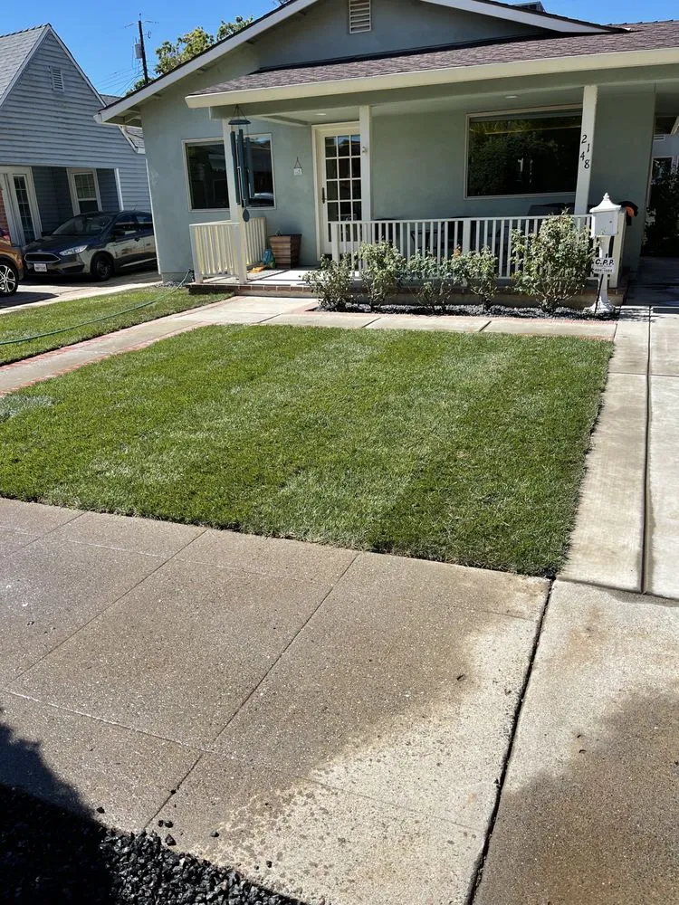 Top-rated lawn care service in Lodi, CA by J&L Landscapes