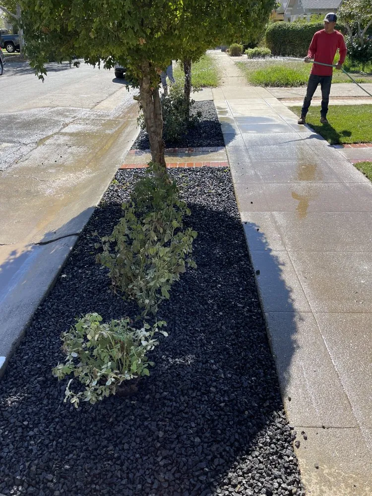 Professional yard maintenance in Lodi, CA - J&L Landscapes