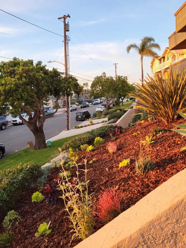 Affordable landscaping services for homes across Los Angeles, CA - JL LANDSCAPES