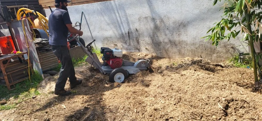 Trusted garden landscaping in Los Angeles, CA - JL LANDSCAPES