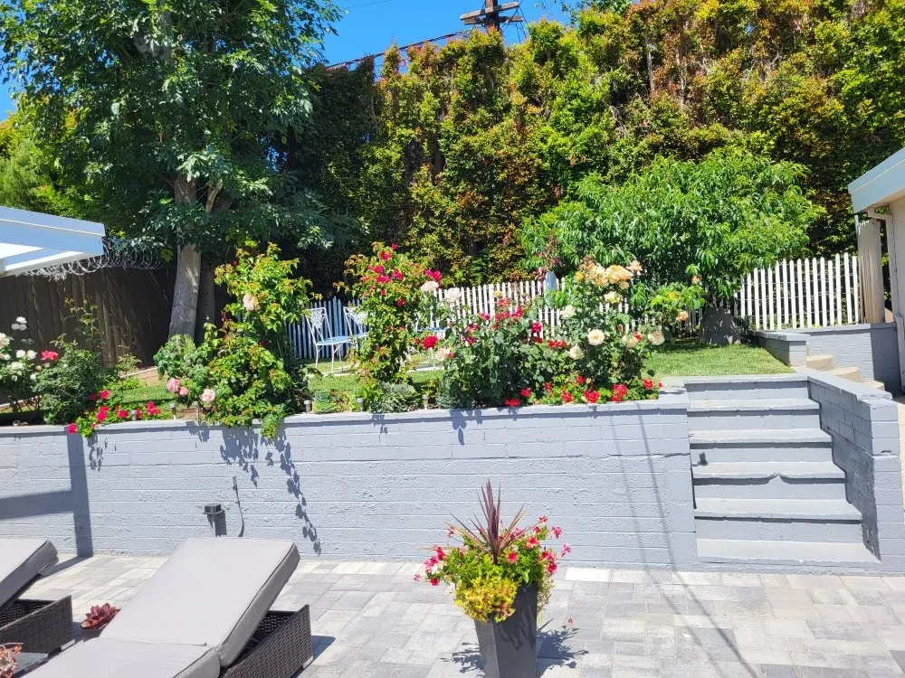 Trusted yard cleanup service in Los Angeles, CA - JL LANDSCAPES