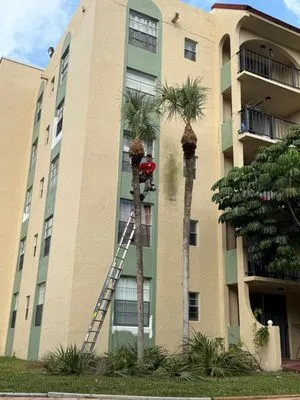 JL Landscaping & Tree Service