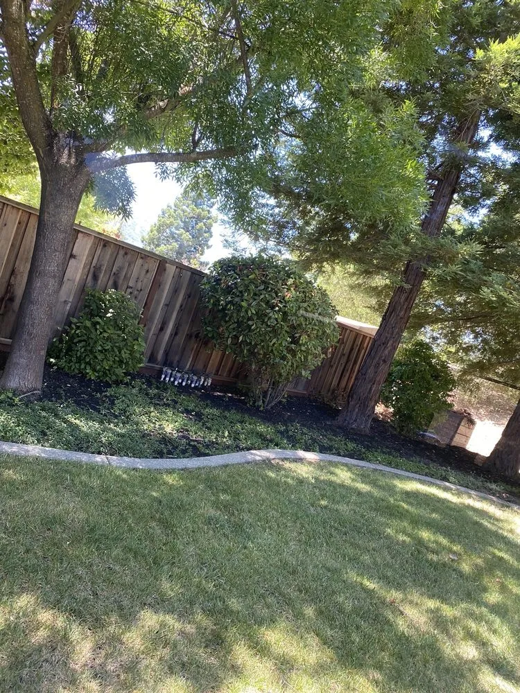 Professional landscape design experts serving Antioch, CA - JL Landscaping
