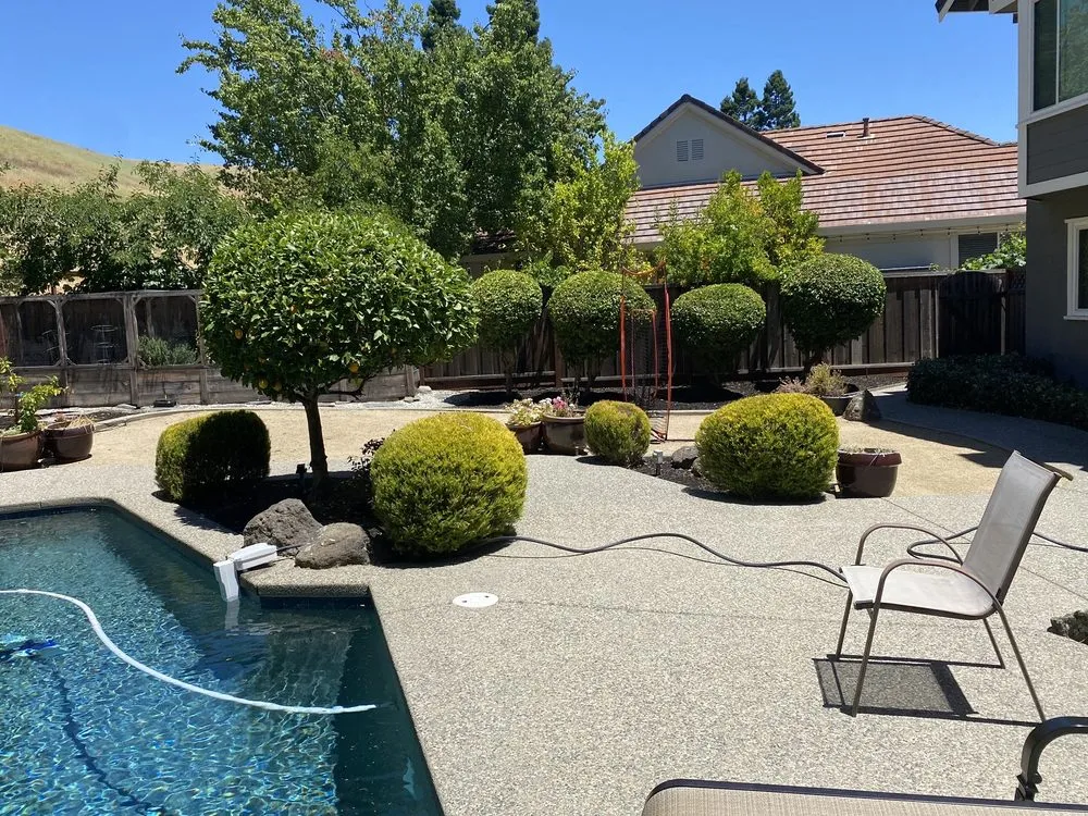 Reliable yard maintenance for homes in Antioch, CA by JL Landscaping