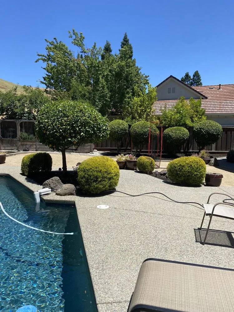 Reliable garden landscaping for year-round maintenance in Antioch, CA by JL Landscaping