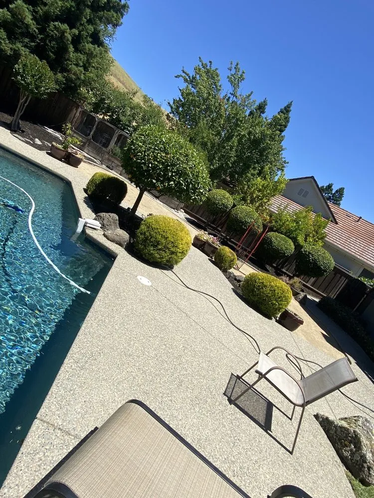 Professional yard cleanup service experts serving Antioch, CA - JL Landscaping